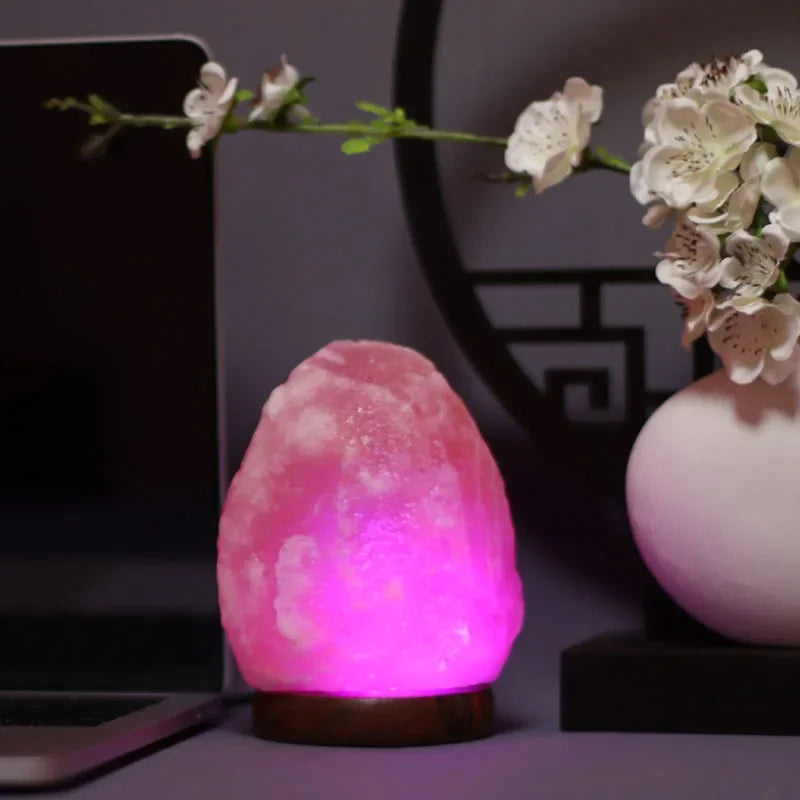 Lampe de Sel Himalaya Naturelle — Veilleuse Ionisante 2-3kg